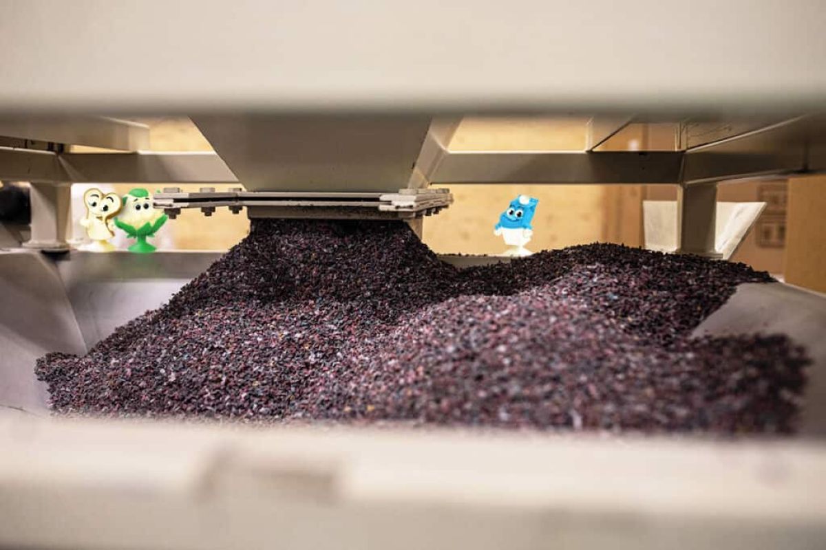 Stikeez_KorrelsBV-7_rev-1-1024x683-1-rdjn6hl55qo7vkpjmasfg5ywb9qtz52uch66pxjp6o